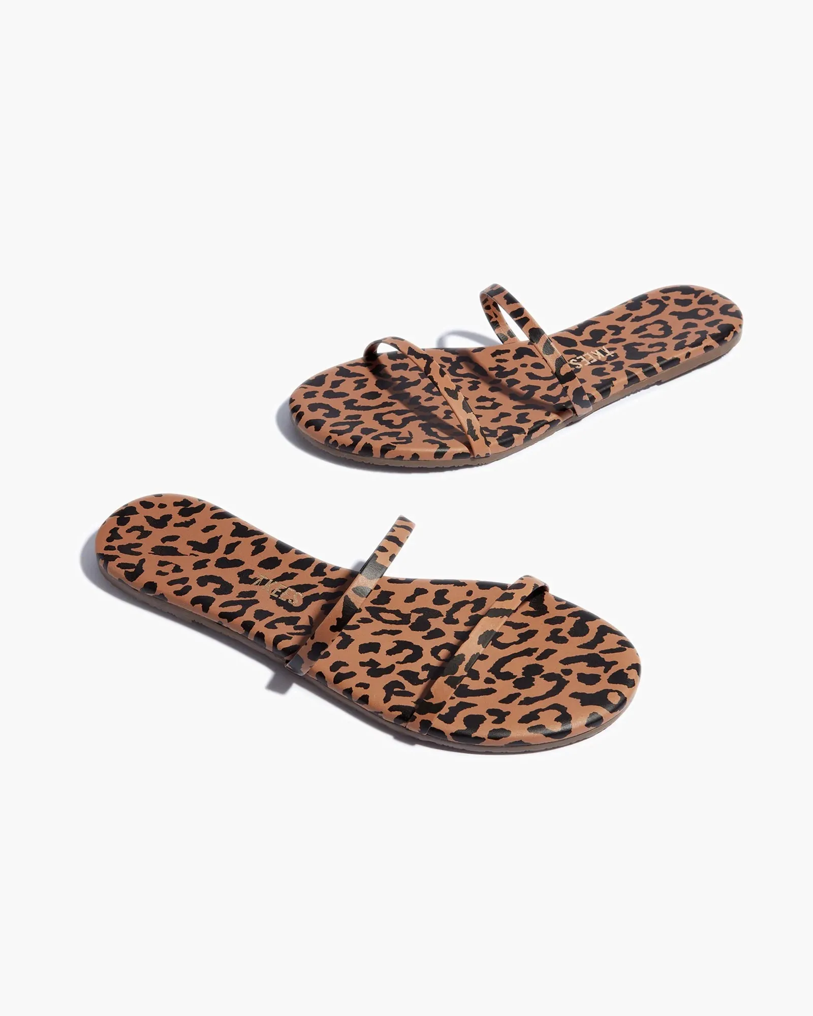 Gemma Animal - Cheetah